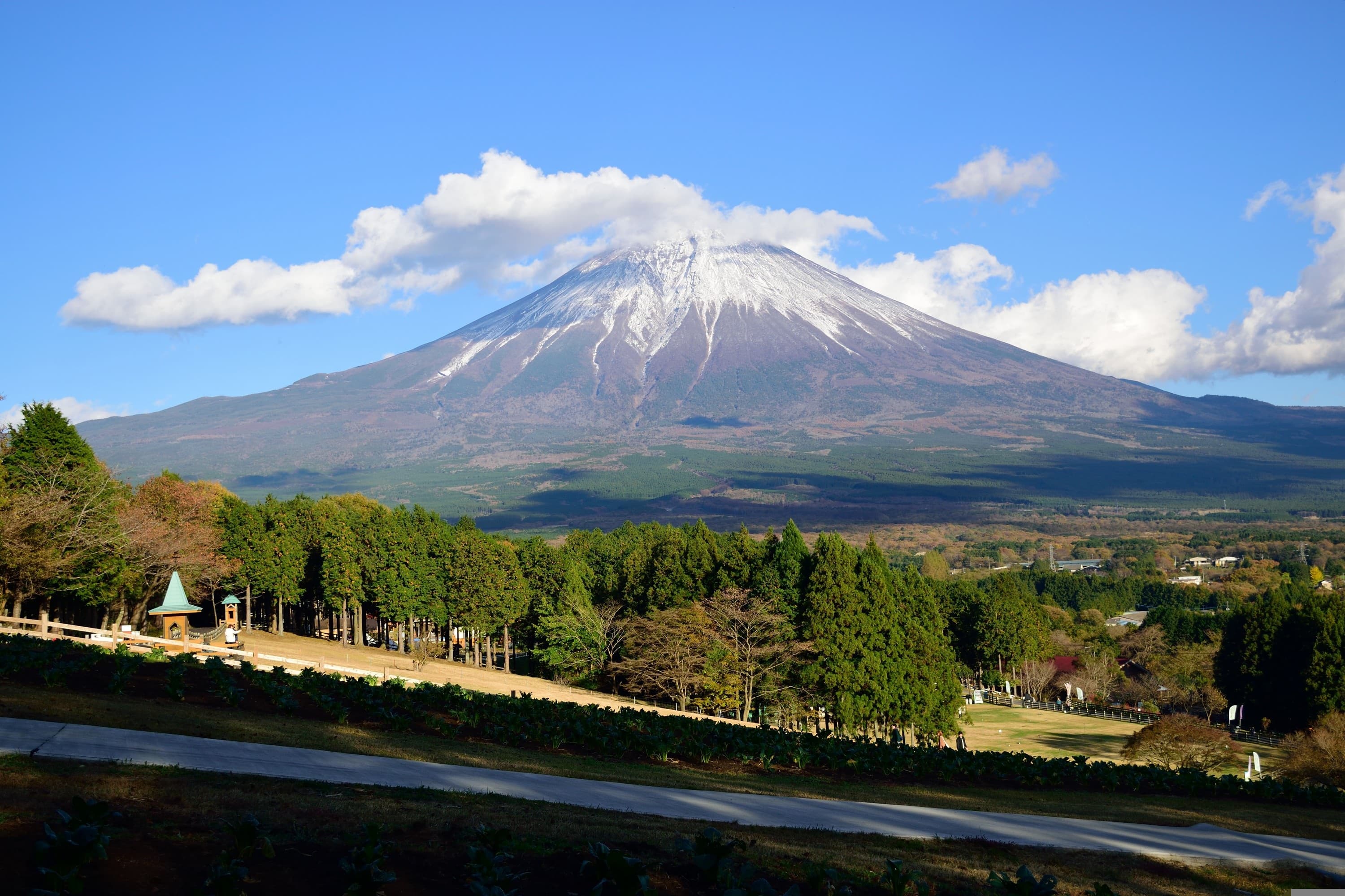 Shizuoka