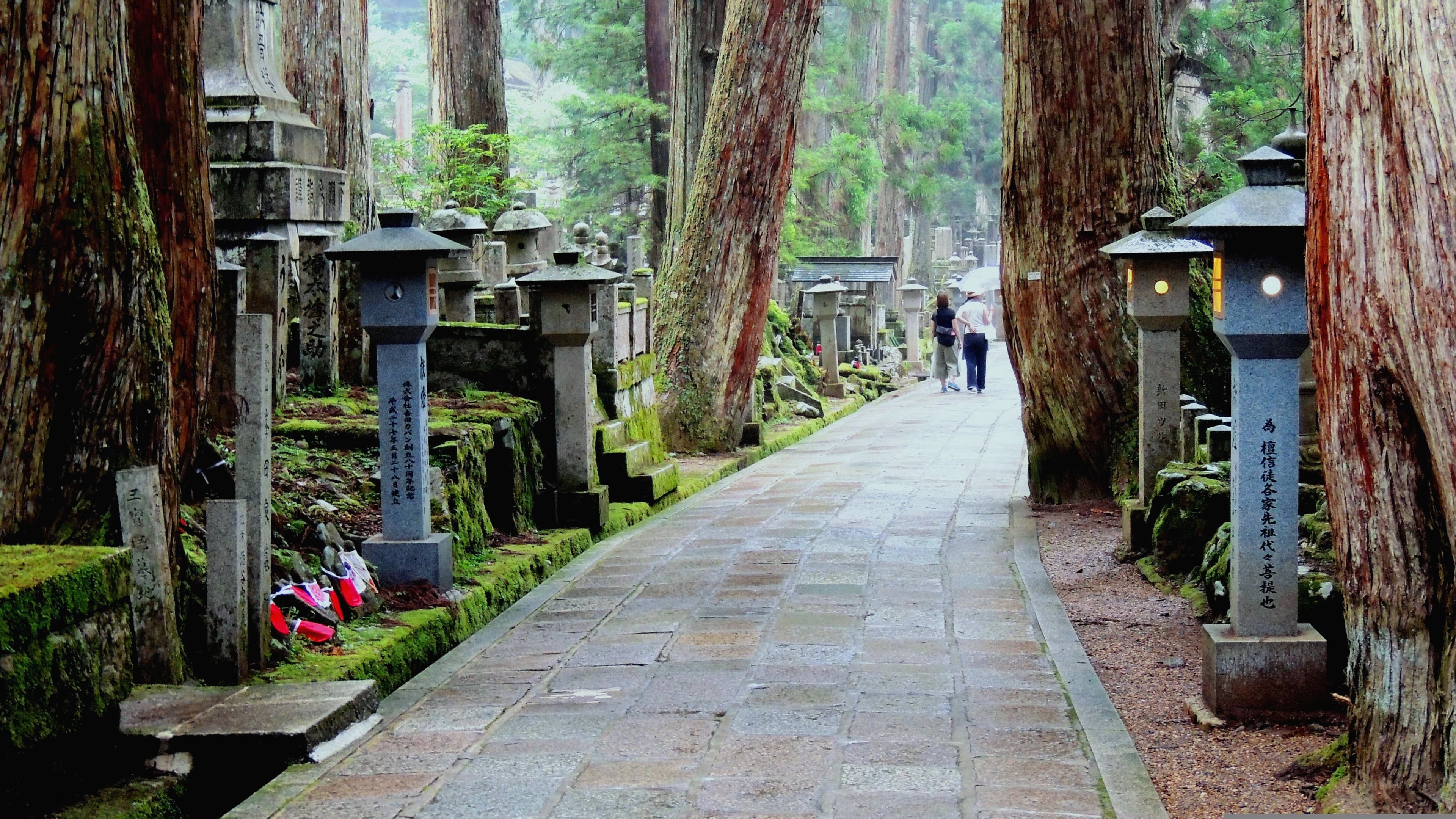 Wakayama
