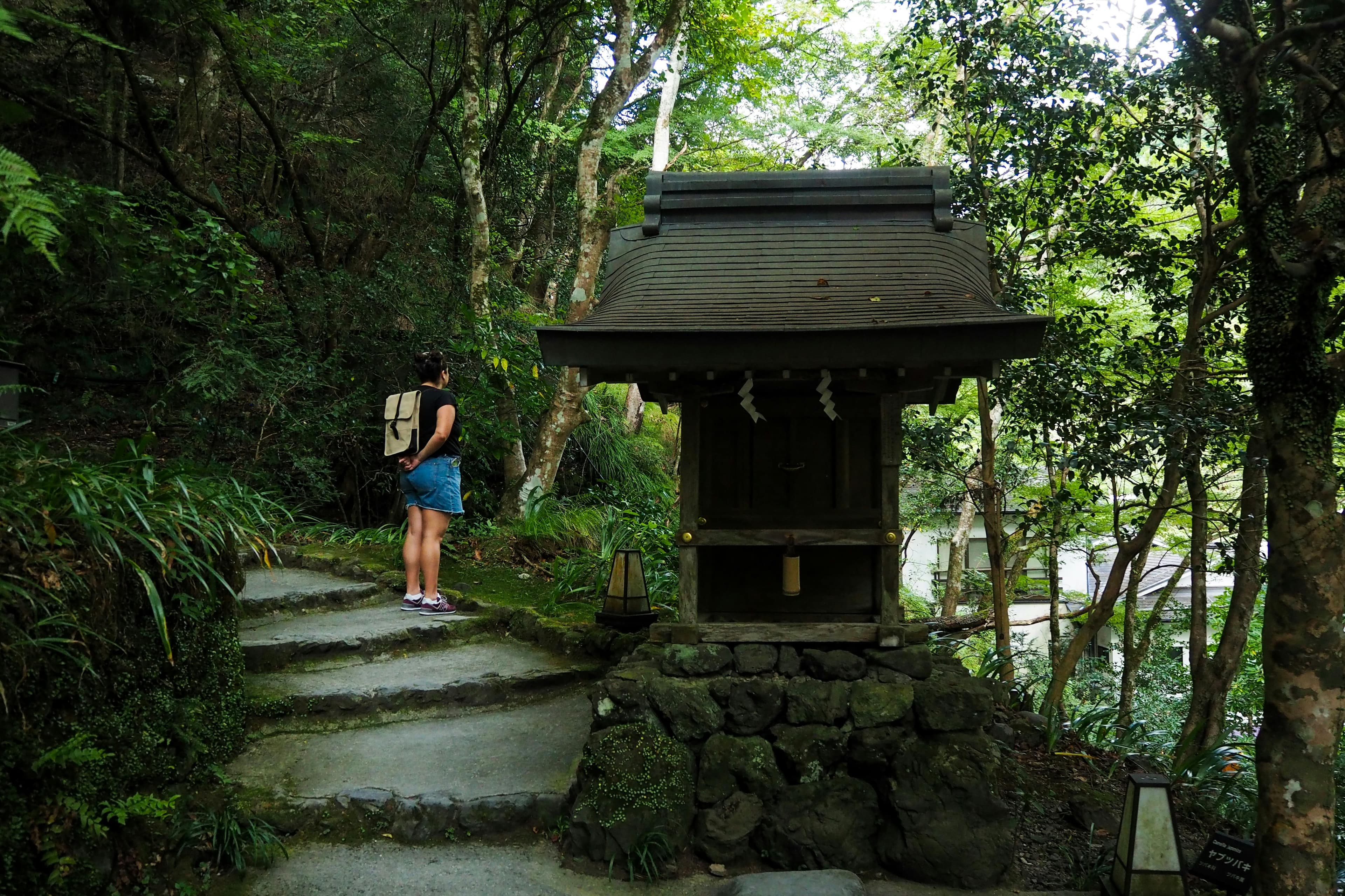 Hiking