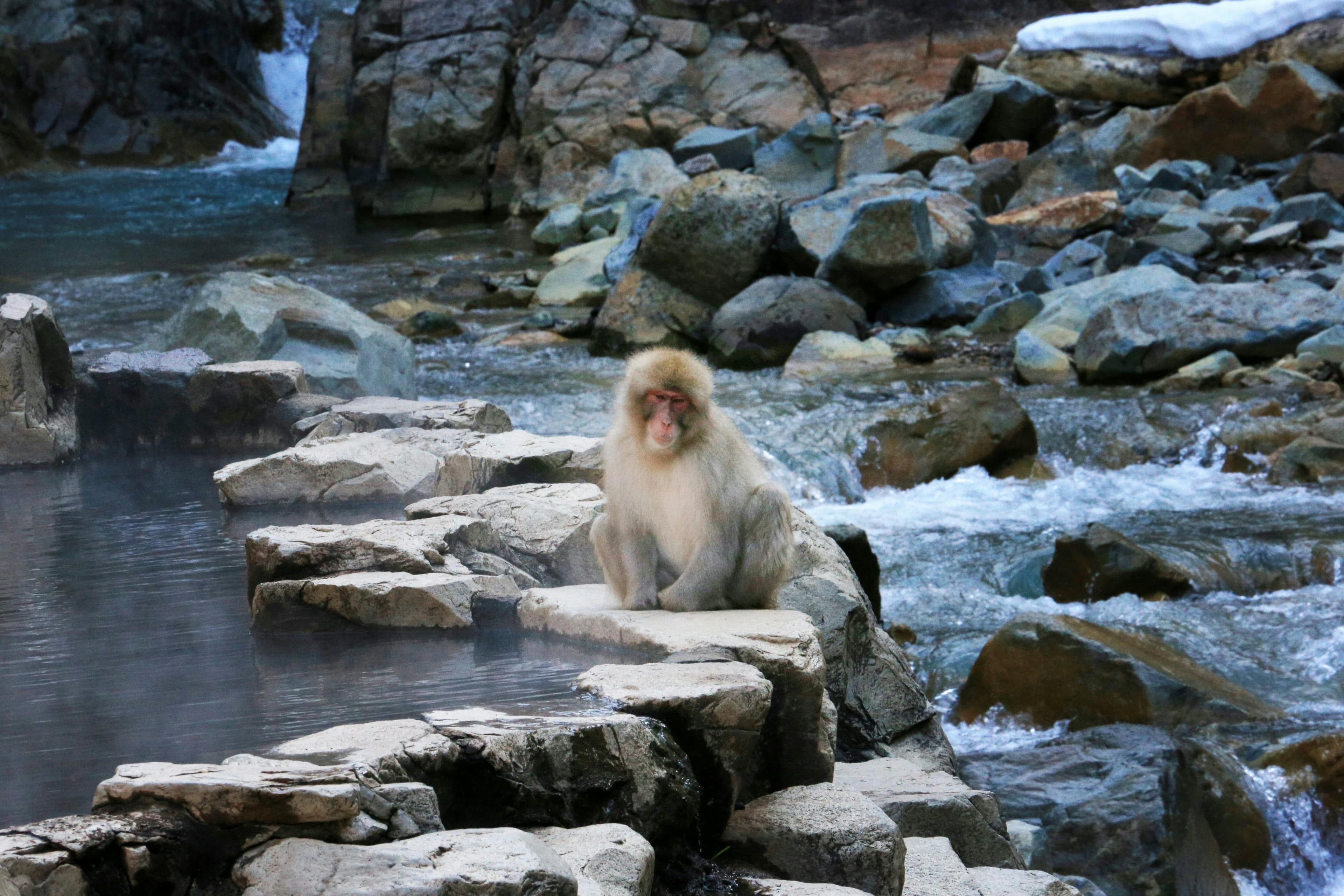 Onsen